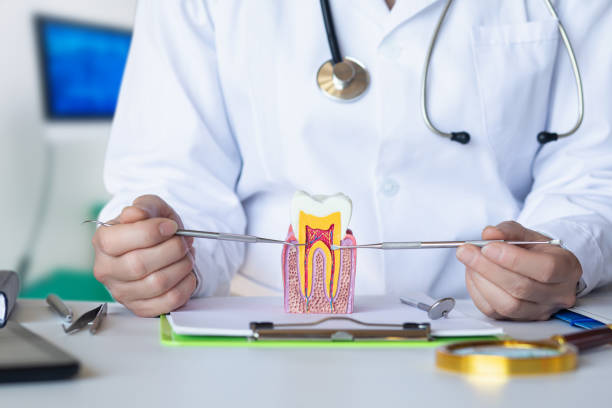 Best Knocked-Out Tooth Emergency  in Brookfield, WI